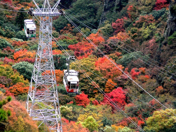 【米子駅発】 紅葉の小豆島・寒霞渓ロープウェイ空中散歩 日帰り1